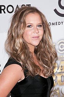 amy schumer wiki